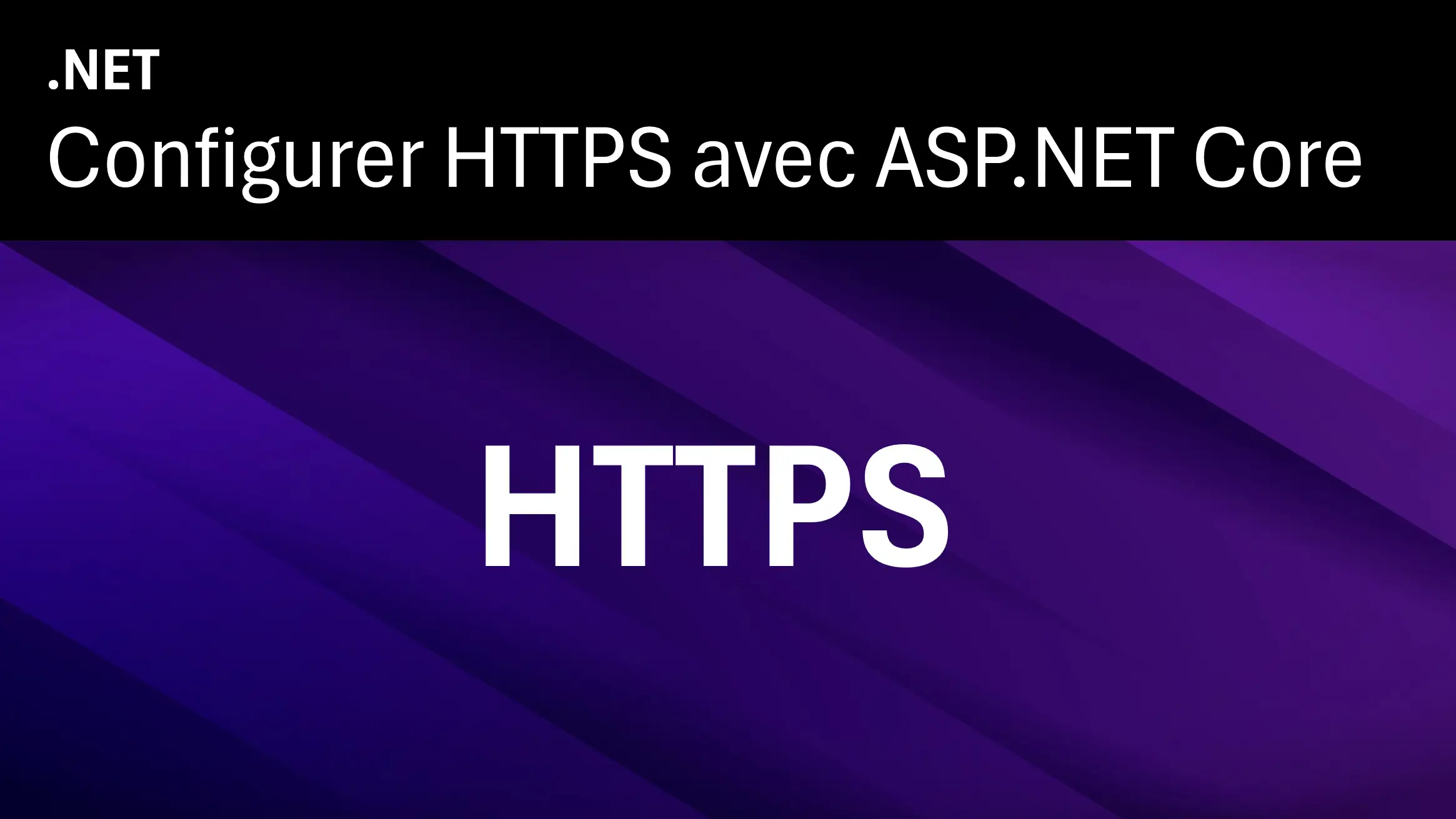 Image illustrant l'article 'Deploying an HTTPS application for .ASP.NET CORE with Let's Encrypt and Docker.'